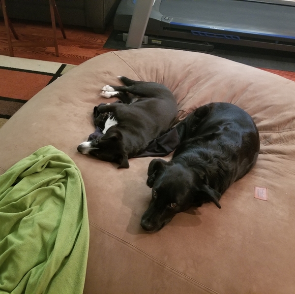 Meet Your Posher - Picture 4 of 6